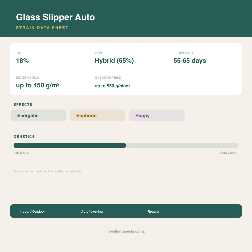 Glass Slipper 50% indica / 65% sativa flower with visible trichomes