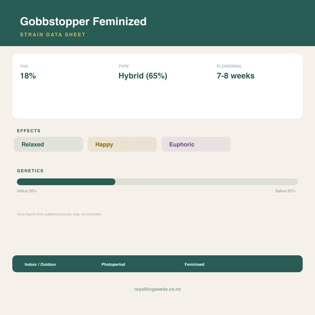 Gobbstopper 35% indica / 65% sativa flower with visible trichomes