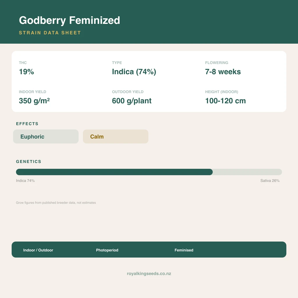 Godberry 74% indica / 26% sativa flower with visible trichomes
