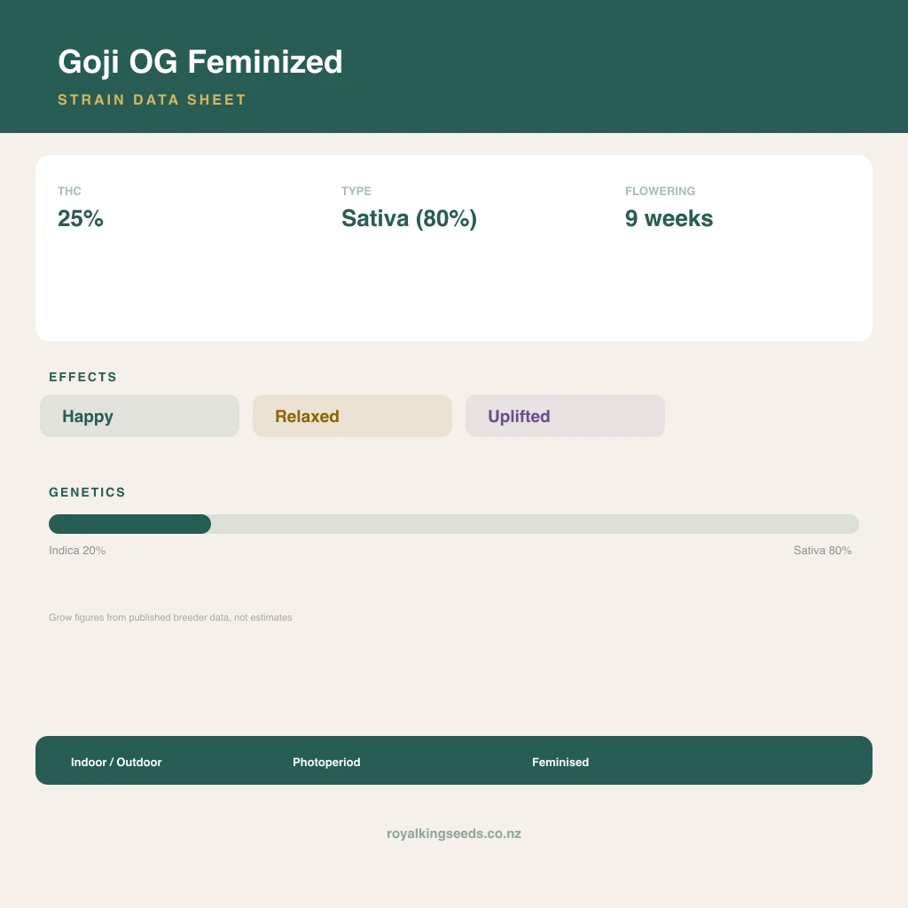 Goji OG 20% indica / 80% sativa flower with visible trichomes