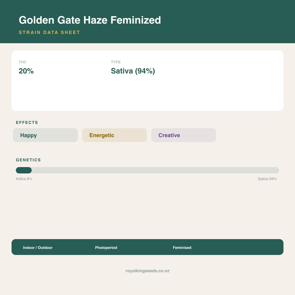 Golden Gate Haze 6% indica / 94% sativa flower with visible trichomes