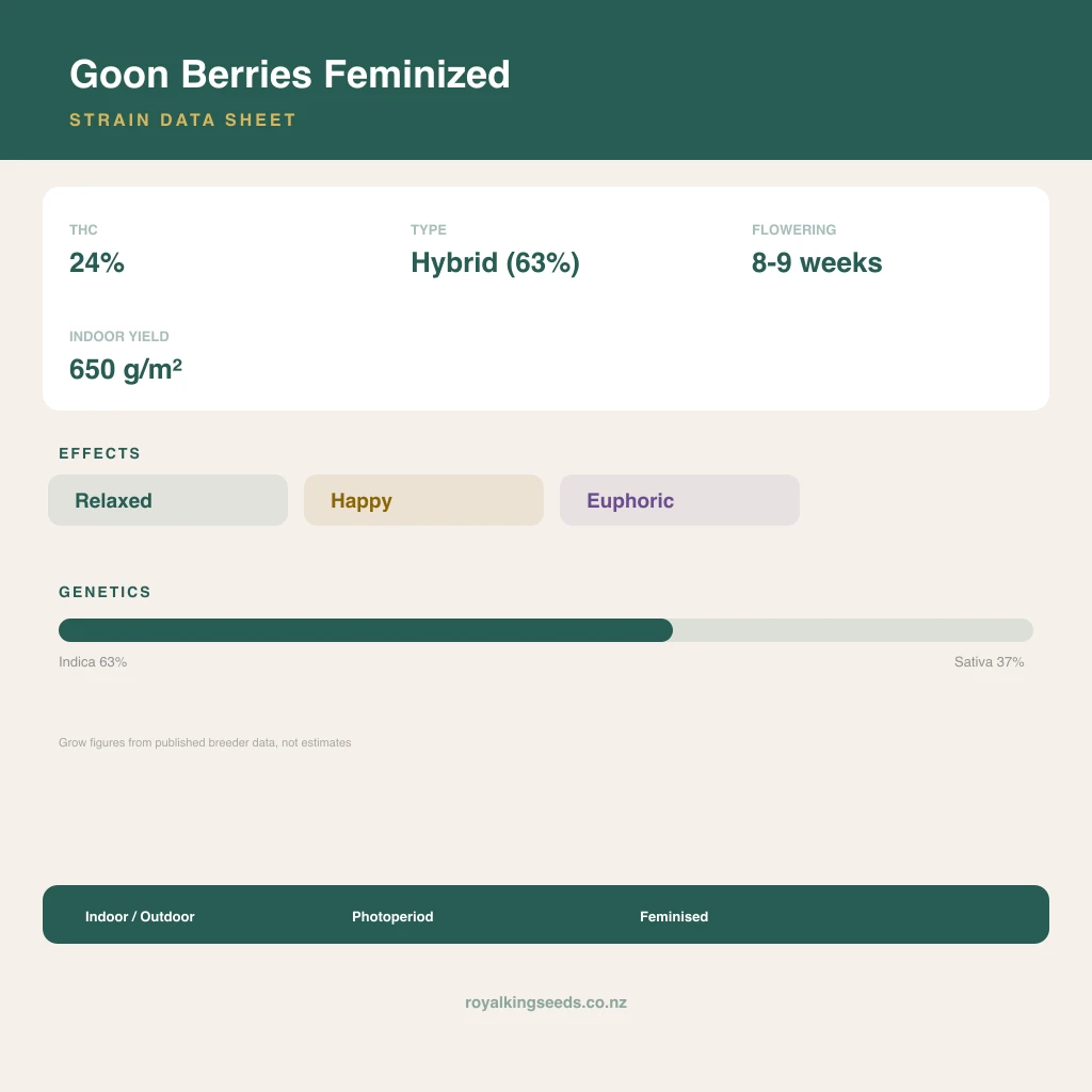 Goon Berries 63% indica / 37% sativa flower with visible trichomes