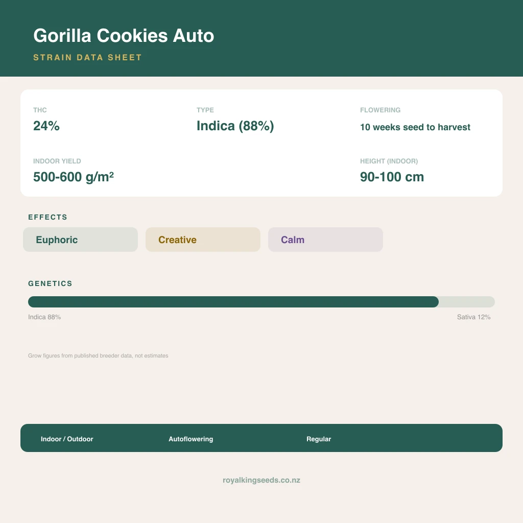 Gorilla Cookies 88% indica / 12% sativa flower with visible trichomes