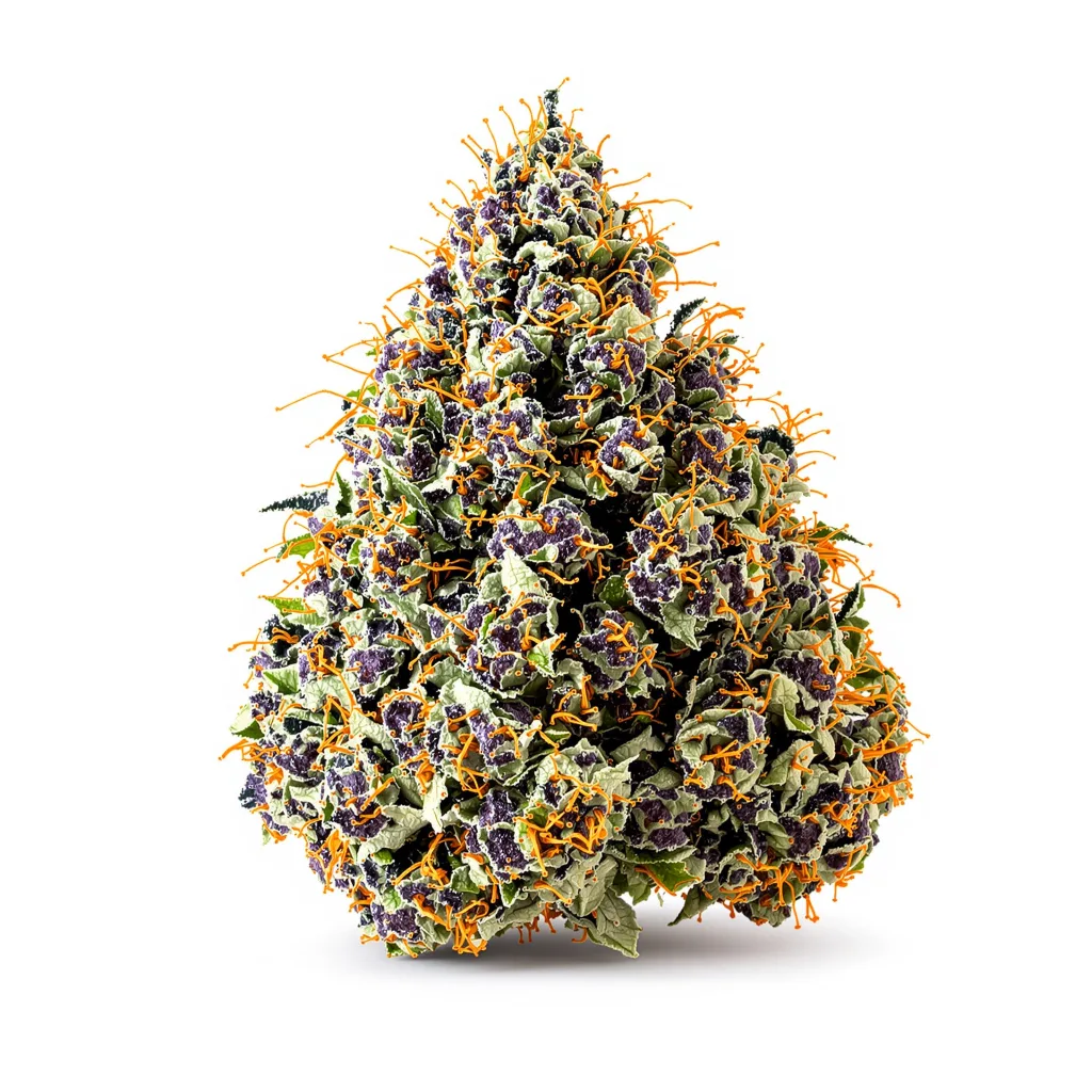 Gorilla Cookies 88% indica / 12% sativa flower with visible trichomes