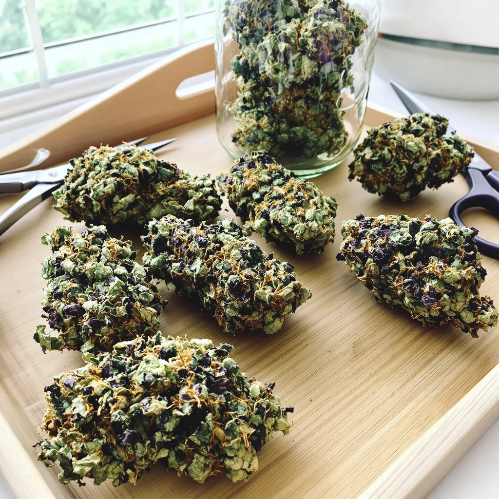Grand Hindu 84% indica / 16% sativa flower with visible trichomes