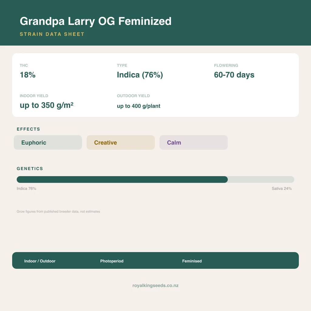 Grandpa Larry OG 76% indica / 24% sativa flower with visible trichomes
