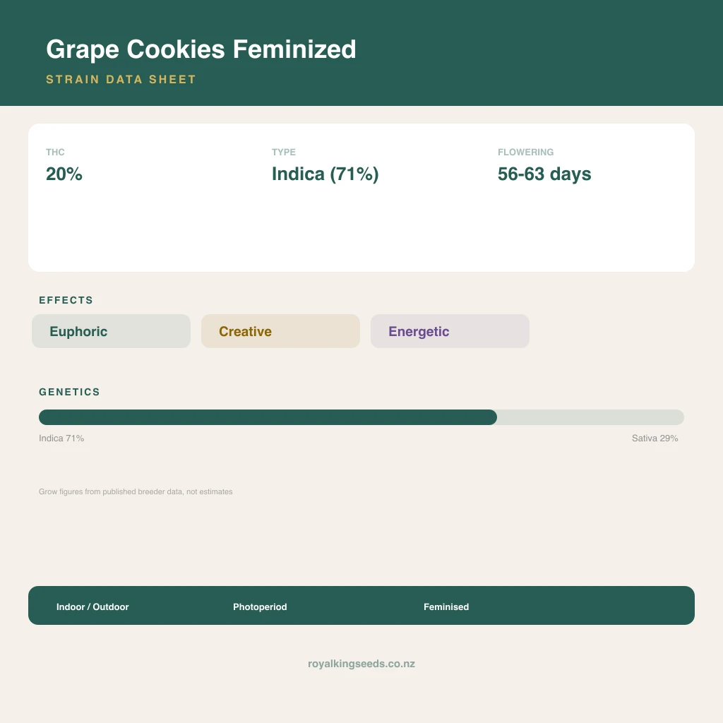 Grape Cookies 71% indica / 29% sativa flower with visible trichomes