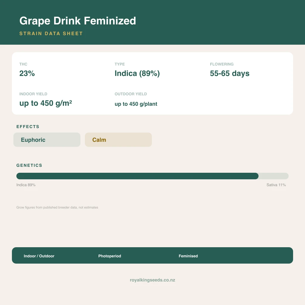 Grape Drink 89% indica / 11% sativa flower with visible trichomes