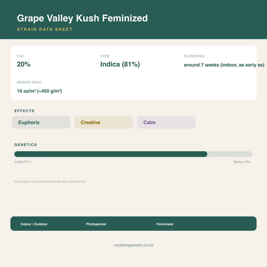 Grape Valley Kush 81% indica / 19% sativa flower with visible trichomes