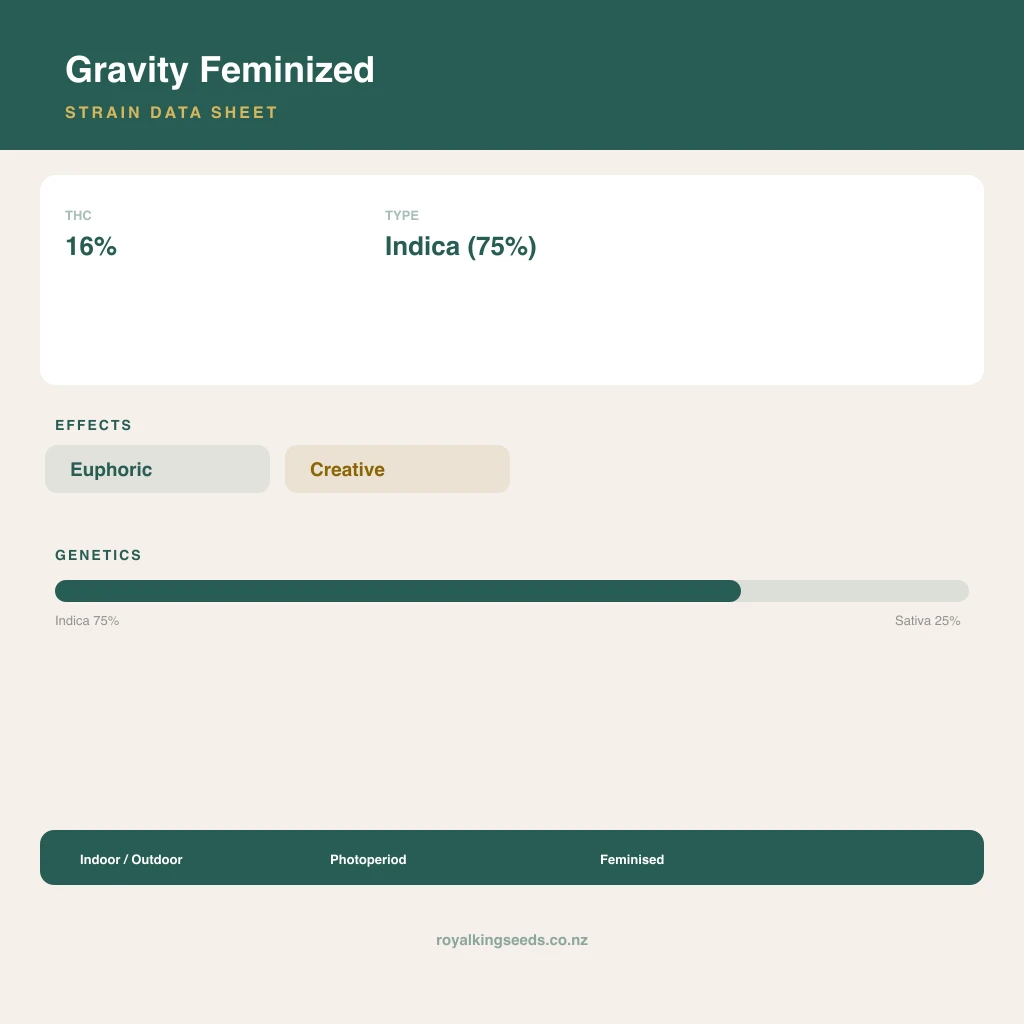 Gravity 75% indica / 25% sativa flower with visible trichomes