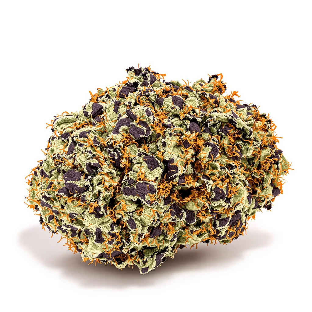 Gravity 75% indica / 25% sativa flower with visible trichomes