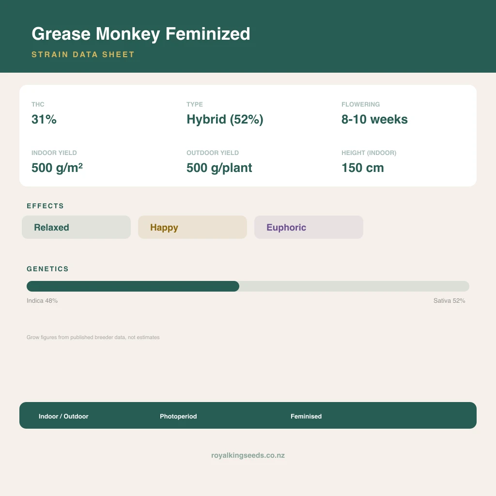 Grease Monkey 48% indica / 52% sativa flower with visible trichomes