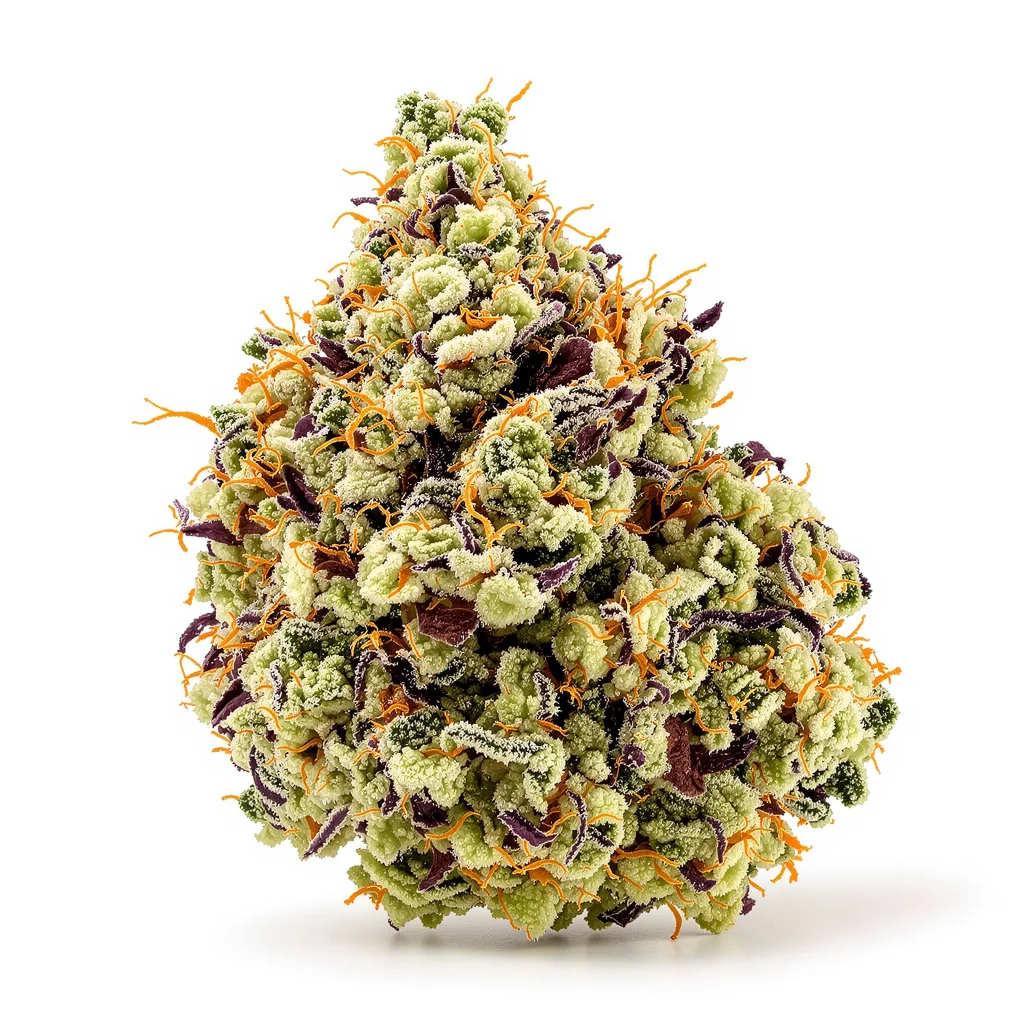 Green Goblin 48% indica / 52% sativa flower with visible trichomes