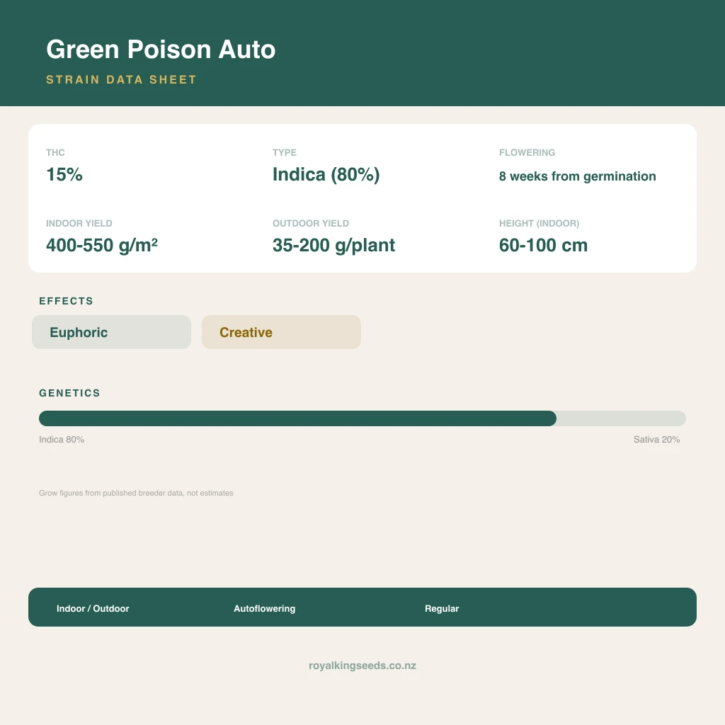 Green Poison 80% indica / 20% sativa flower with visible trichomes