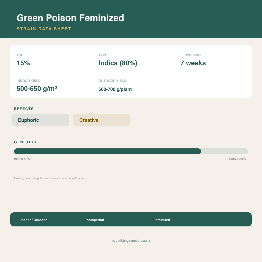 Green Poison 80% indica / 20% sativa flower with visible trichomes