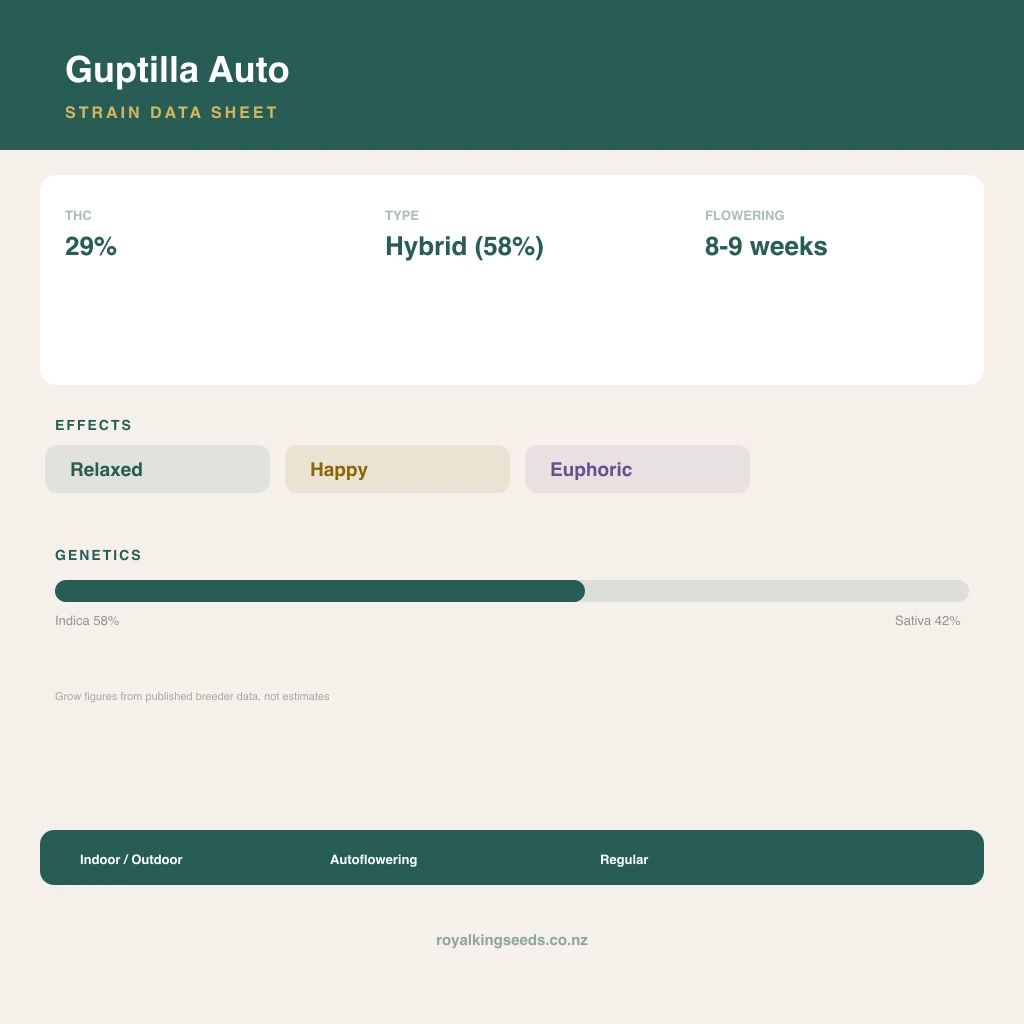 Guptilla 58% indica / 42% sativa flower with visible trichomes
