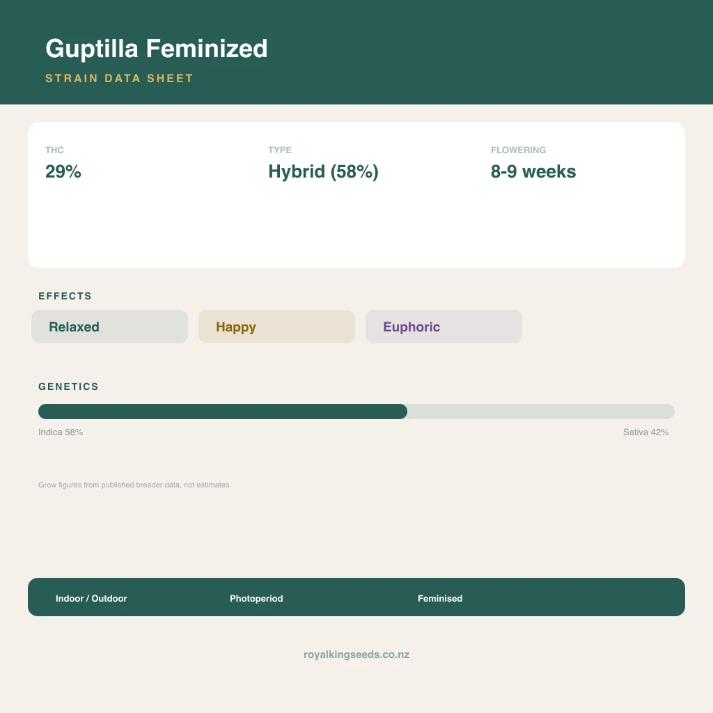 Guptilla 58% indica / 42% sativa flower with visible trichomes