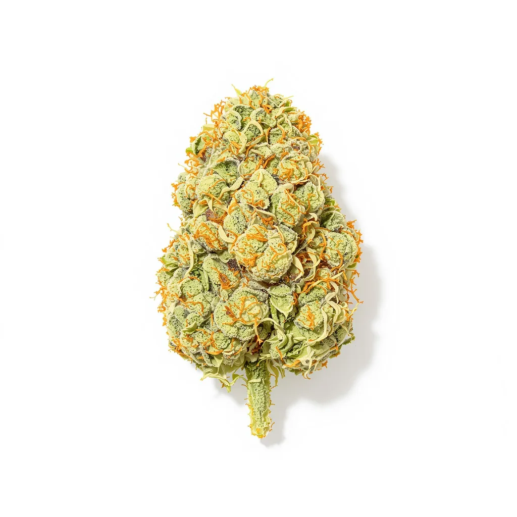 Harle-Tsu CBD 47% indica / 53% sativa flower with visible trichomes