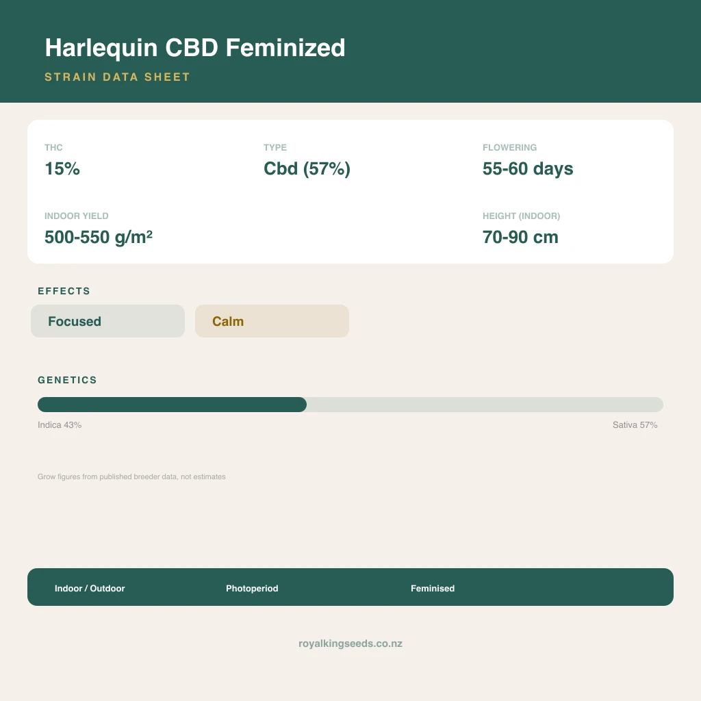 Harlequin CBD 43% indica / 57% sativa flower with visible trichomes