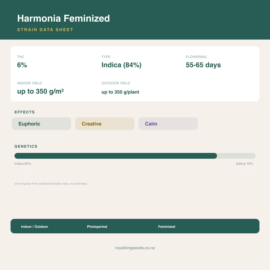 Harmonia 84% indica / 16% sativa flower with visible trichomes