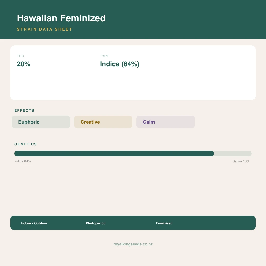 Hawaiian 84% indica / 16% sativa flower with visible trichomes