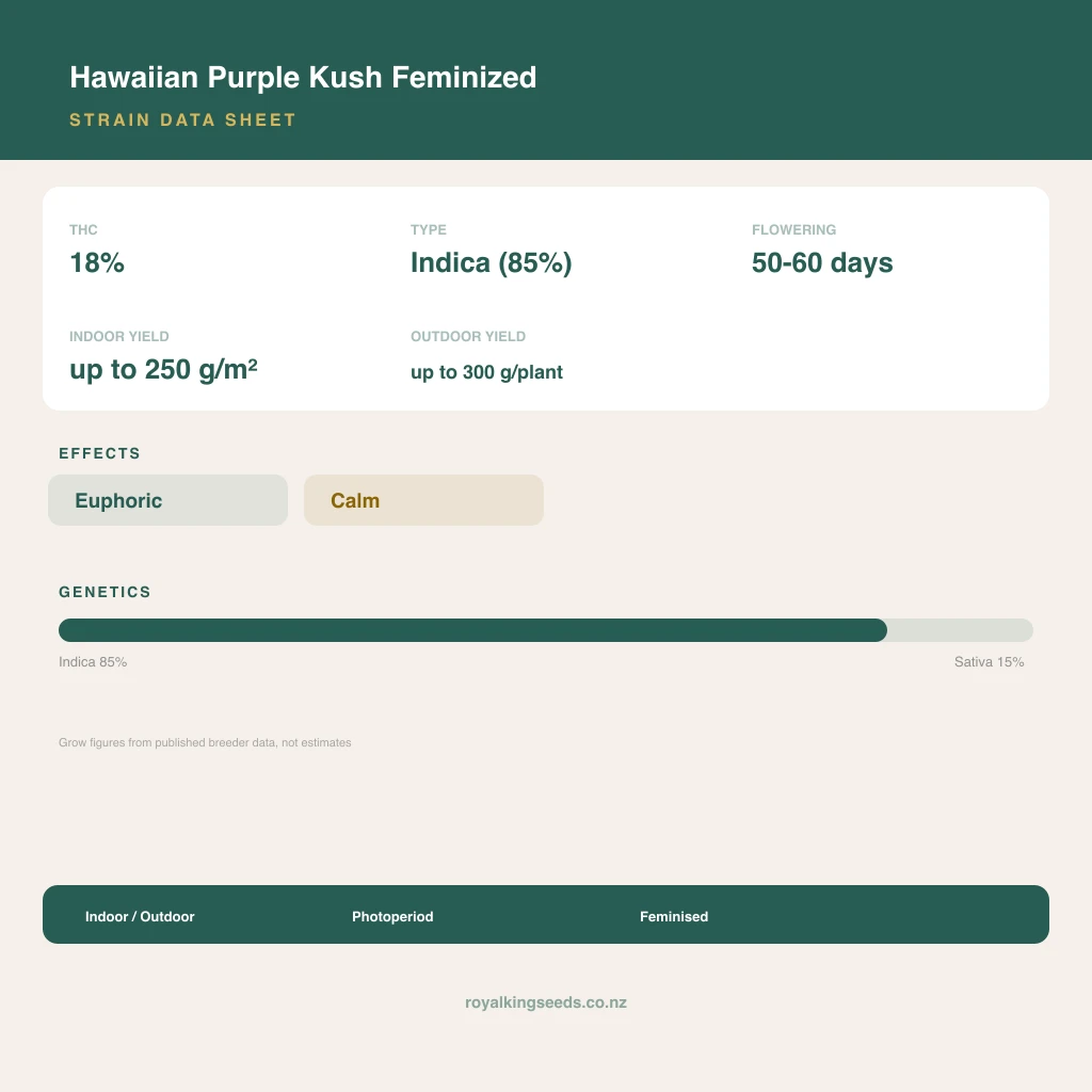 Hawaiian Purple Kush 85% indica / 15% sativa flower with visible trichomes