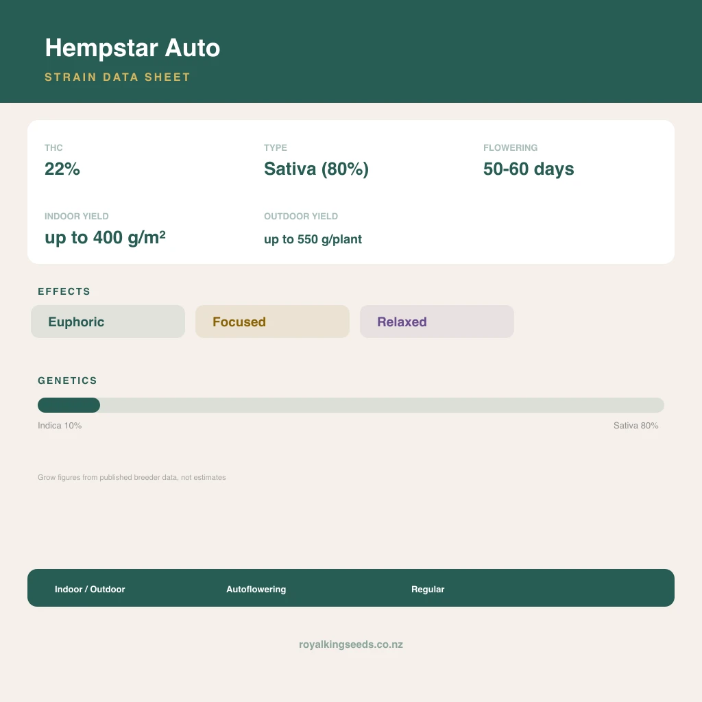 Hempstar 10% indica / 80% sativa flower with visible trichomes