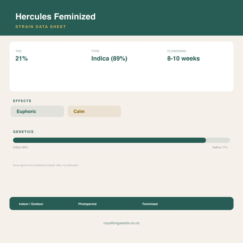 Hercules 89% indica / 11% sativa flower with visible trichomes