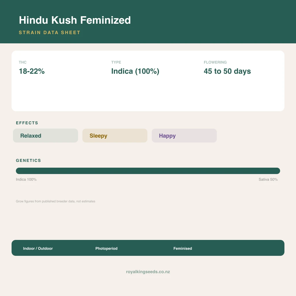 Hindu Kush 100% indica / 50% sativa flower with visible trichomes