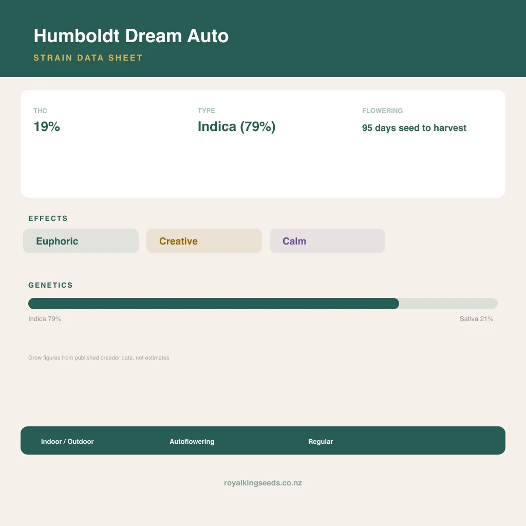 Humboldt Dream 79% indica / 21% sativa flower with visible trichomes