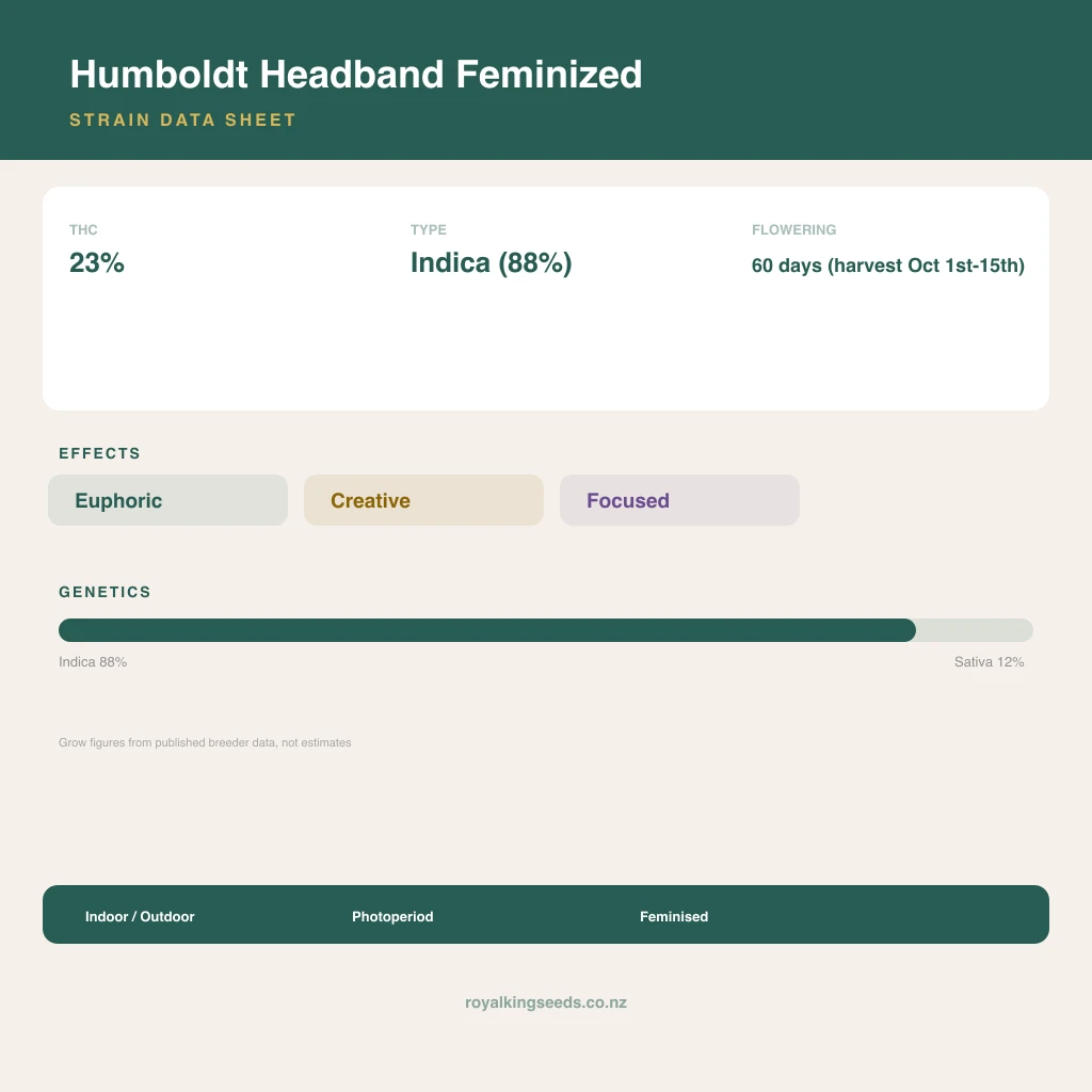 Humboldt Headband 88% indica / 12% sativa flower with visible trichomes