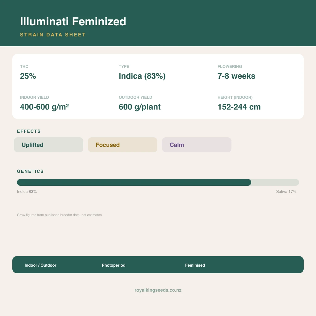 Illuminati 83% indica / 17% sativa flower with visible trichomes