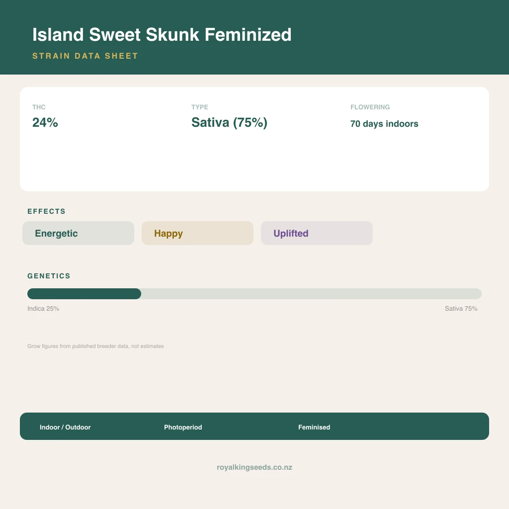 Island Sweet Skunk 25% indica / 75% sativa flower with visible trichomes