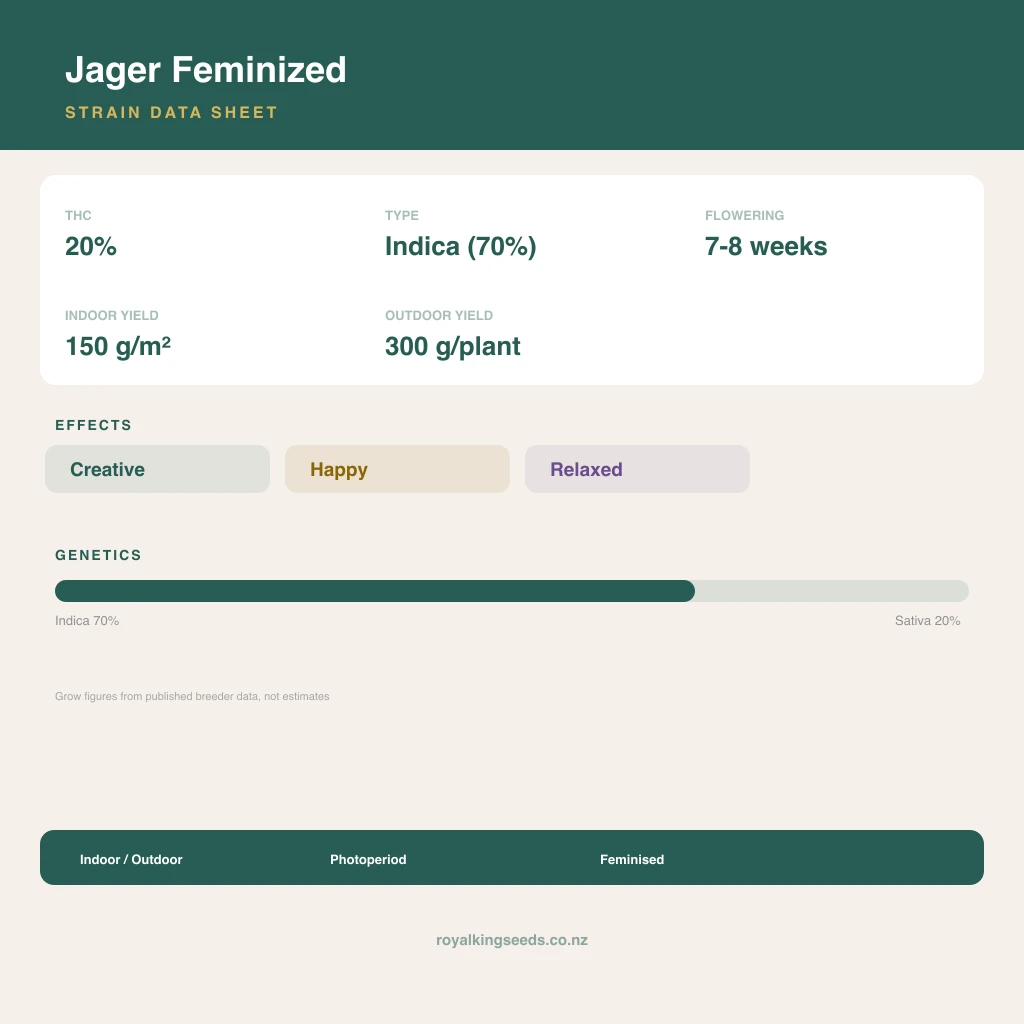 Jager 70% indica / 20% sativa flower with visible trichomes