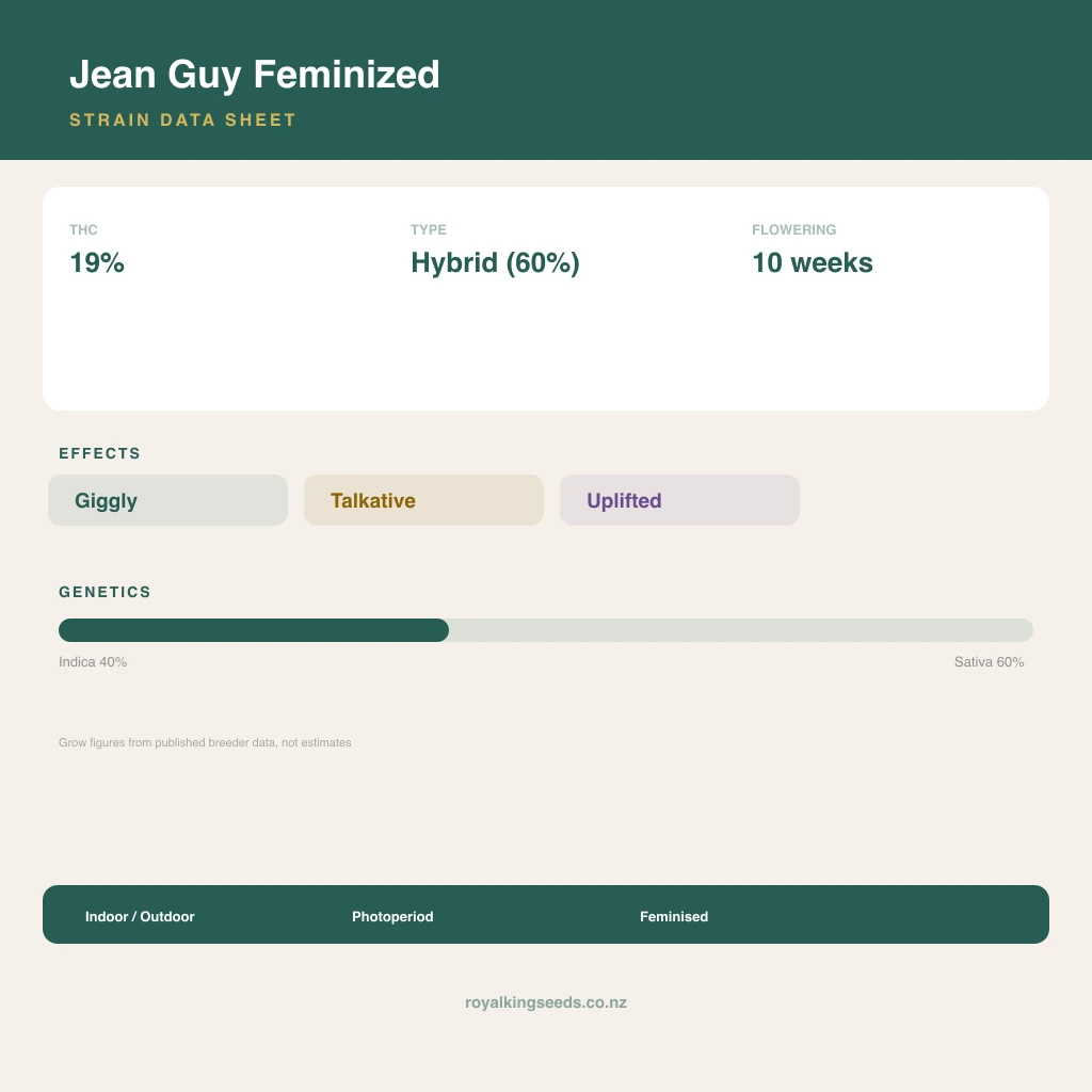 Jean Guy 40% indica / 60% sativa flower with visible trichomes