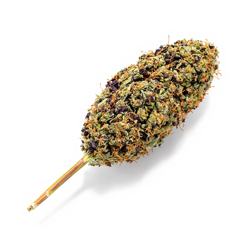 Jedi Kush 90% indica / 50% sativa flower with visible trichomes