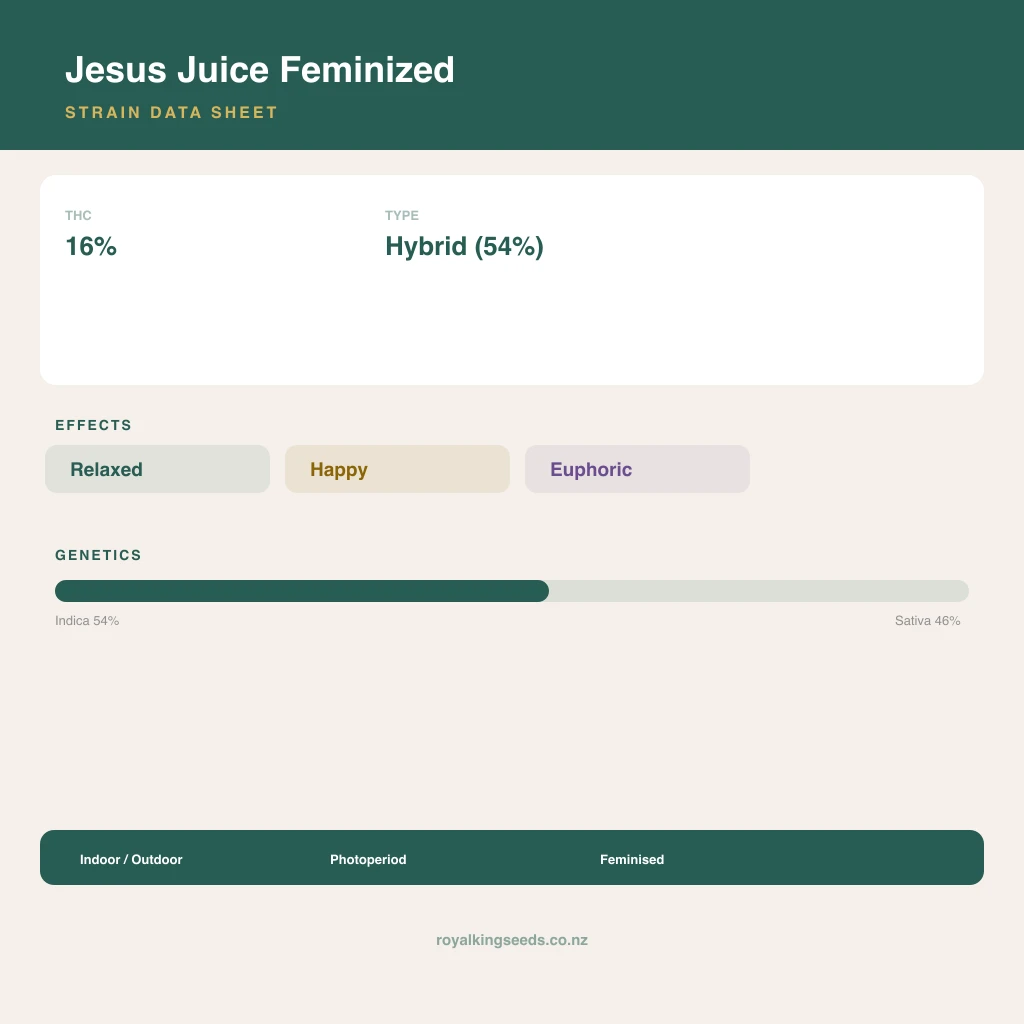 Jesus Juice 54% indica / 46% sativa flower with visible trichomes