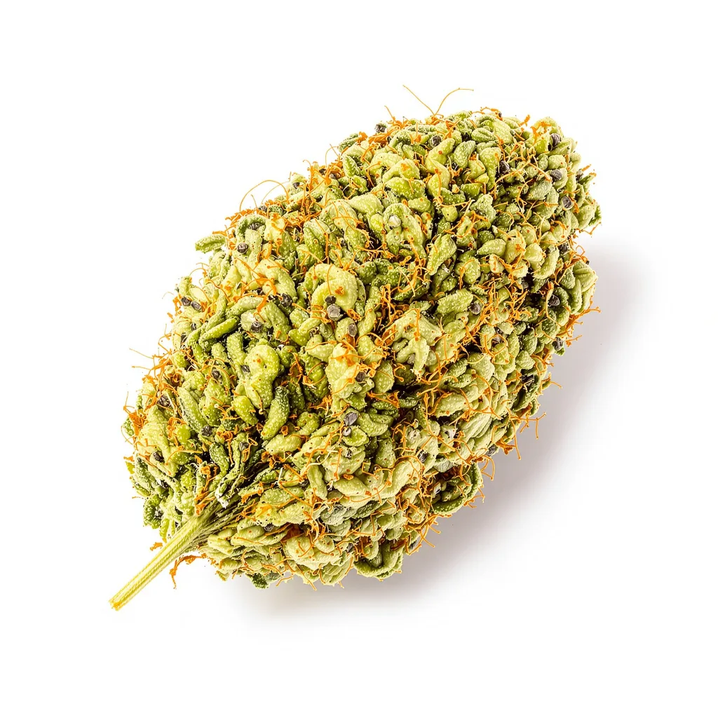 Jesus OG 30% indica / 70% sativa flower with visible trichomes