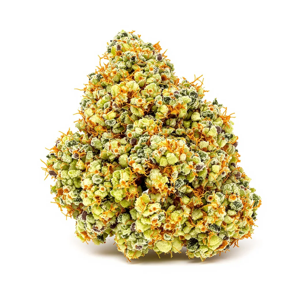 Jesus OG 30% indica / 70% sativa flower with visible trichomes
