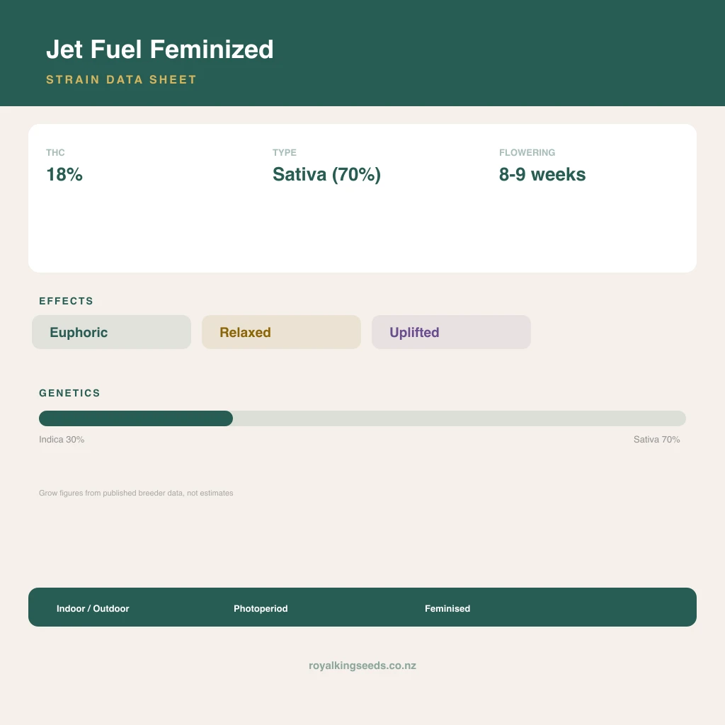 Jet Fuel 30% indica / 70% sativa flower with visible trichomes
