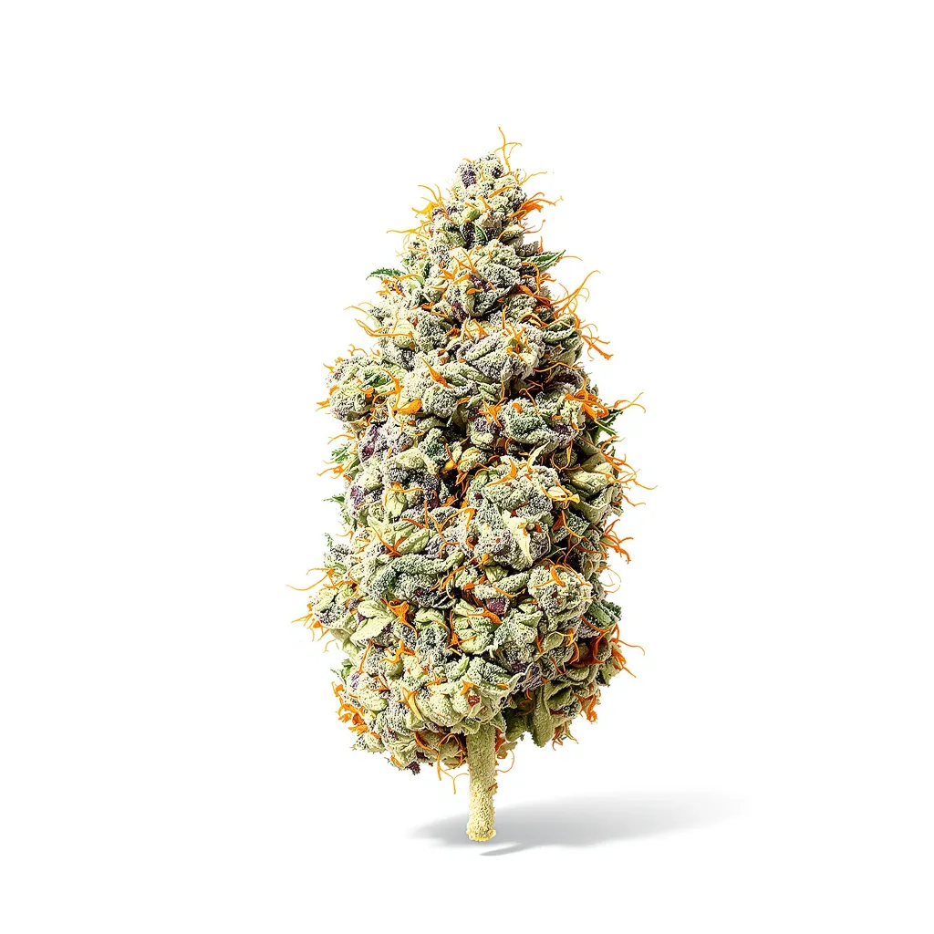 Jillybean 40% indica / 60% sativa flower with visible trichomes