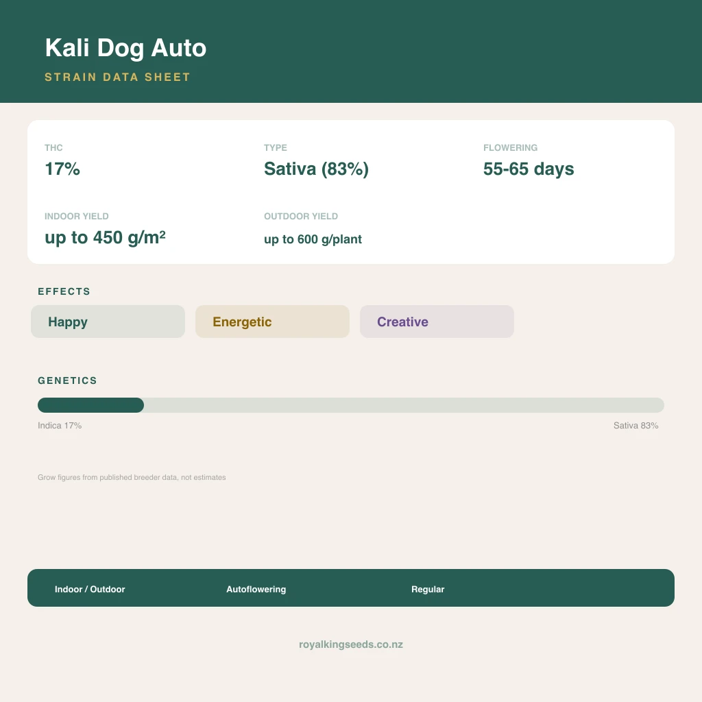Kali Dog 17% indica / 83% sativa flower with visible trichomes