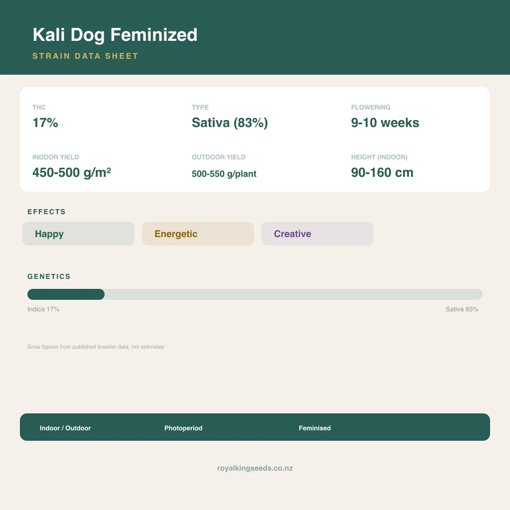 Kali Dog 17% indica / 83% sativa flower with visible trichomes