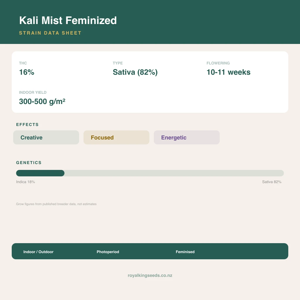Kali Mist 18% indica / 82% sativa flower with visible trichomes