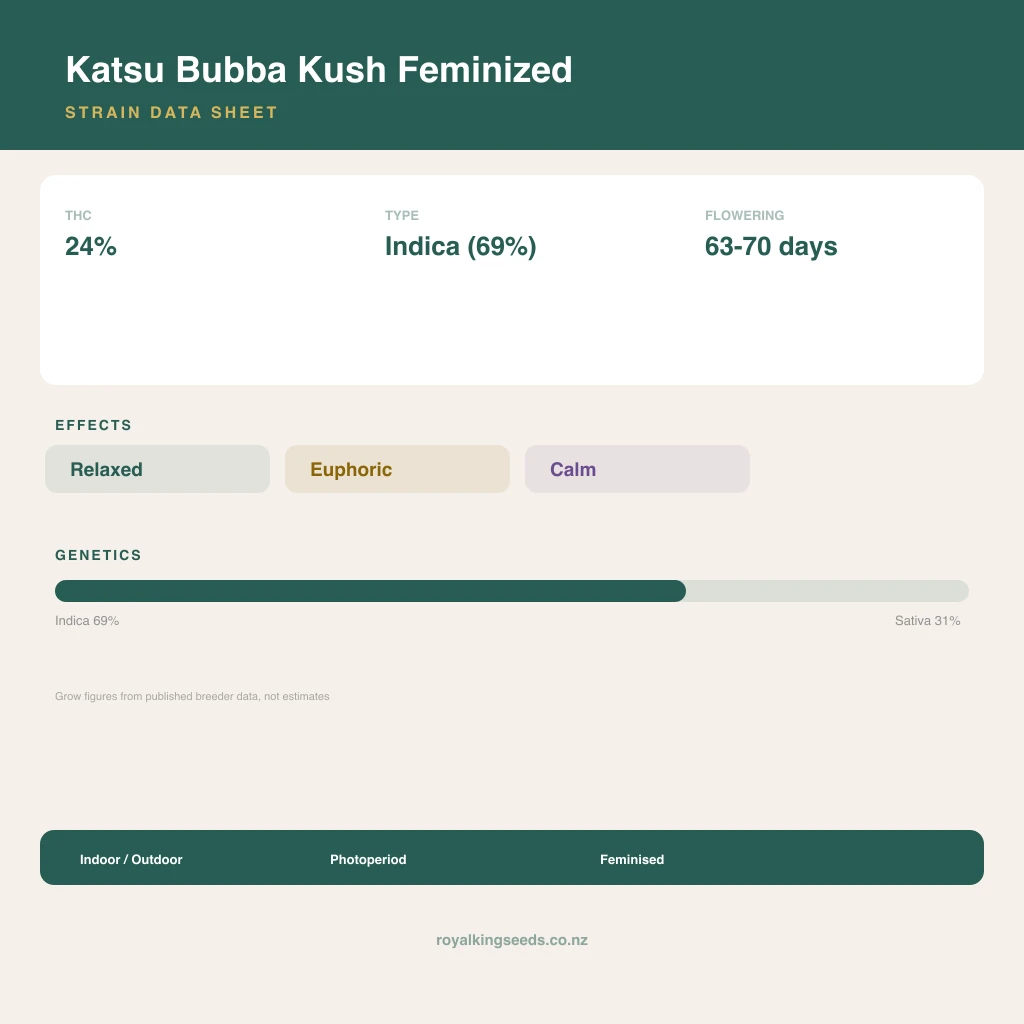 Katsu Bubba Kush 69% indica / 31% sativa flower with visible trichomes