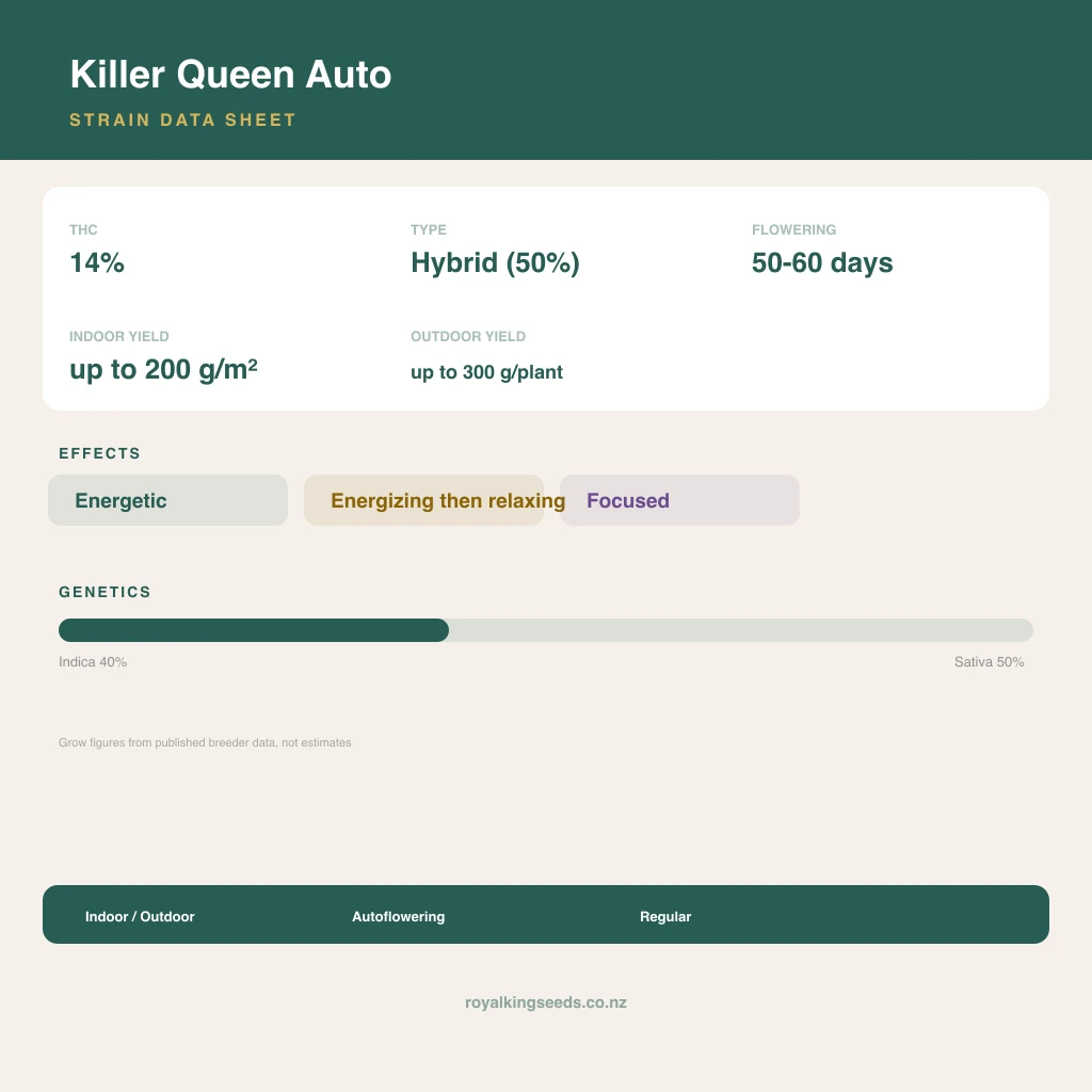 Killer Queen 40% indica / 50% sativa flower with visible trichomes