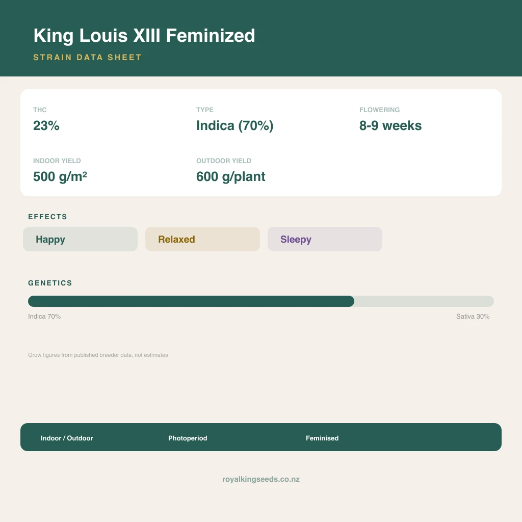King Louis XIII 70% indica / 30% sativa flower with visible trichomes