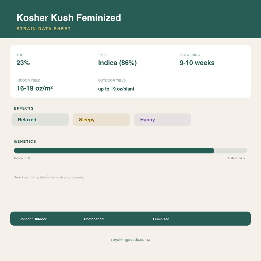 Kosher Kush 86% indica / 14% sativa flower with visible trichomes