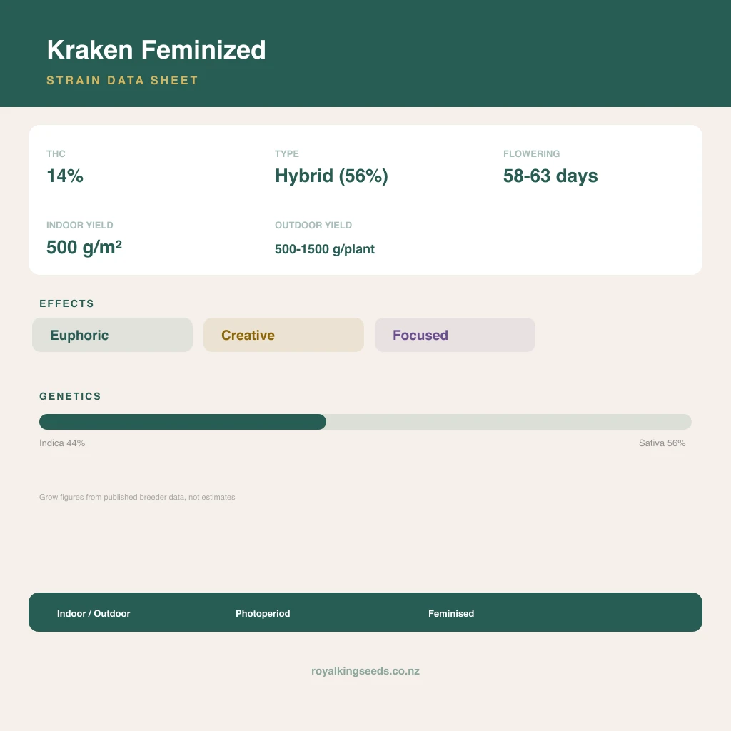 Kraken 44% indica / 56% sativa flower with visible trichomes