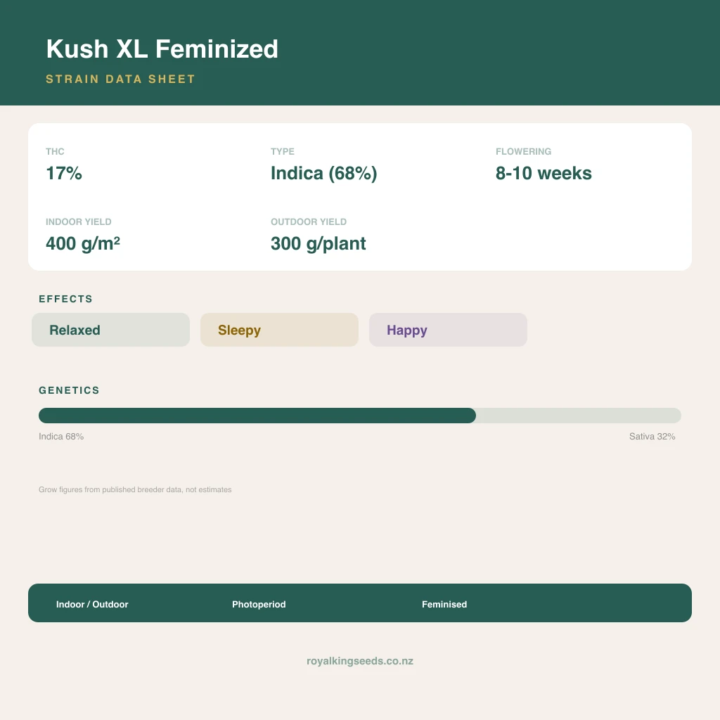 Kush XL 68% indica / 32% sativa flower with visible trichomes